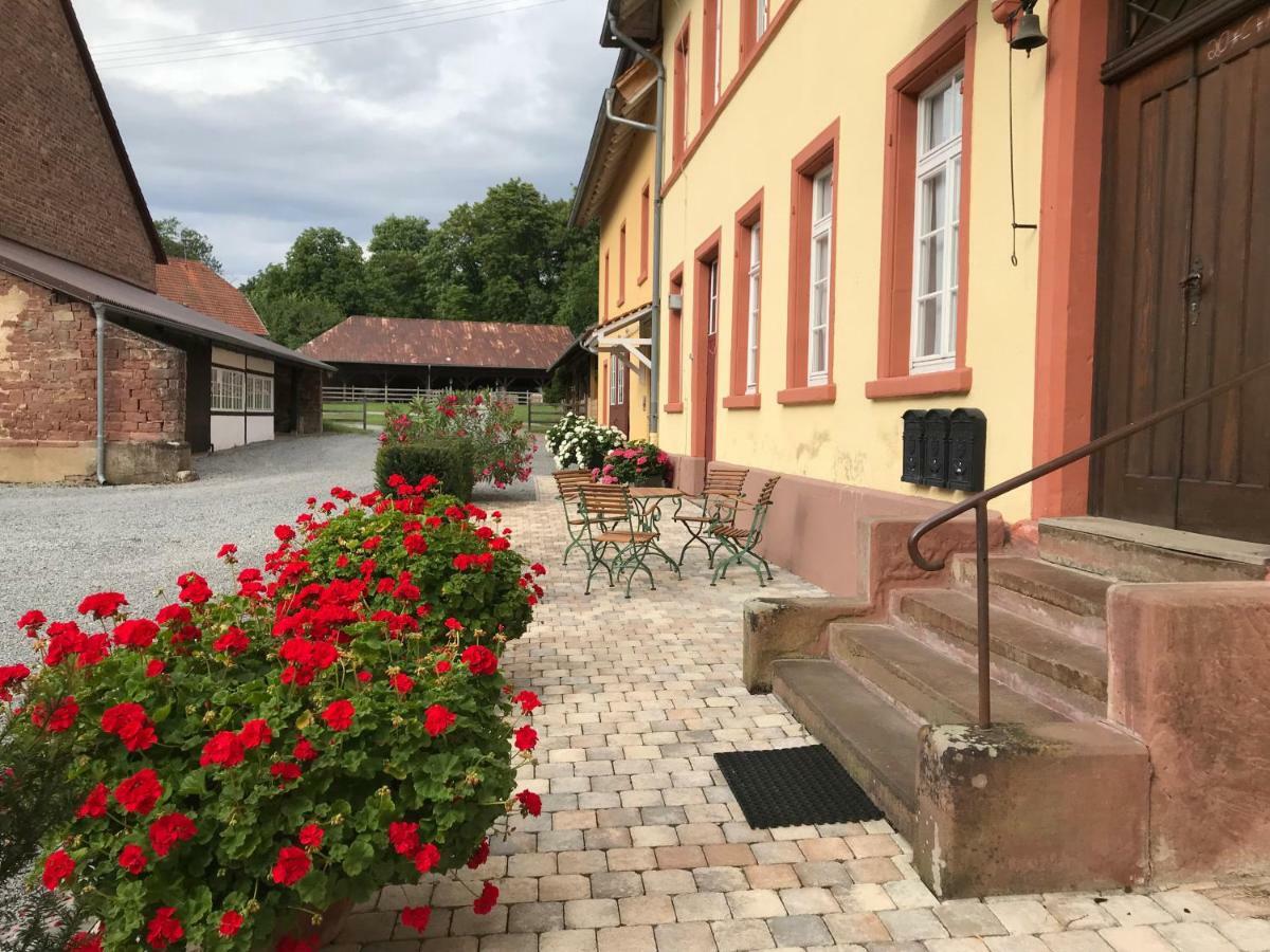 Elegantes Gaesteapartment Verano In Schloss Und Hofgut Langenzell Wiesenbach Esterno foto